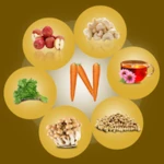 nutrition food android application logo